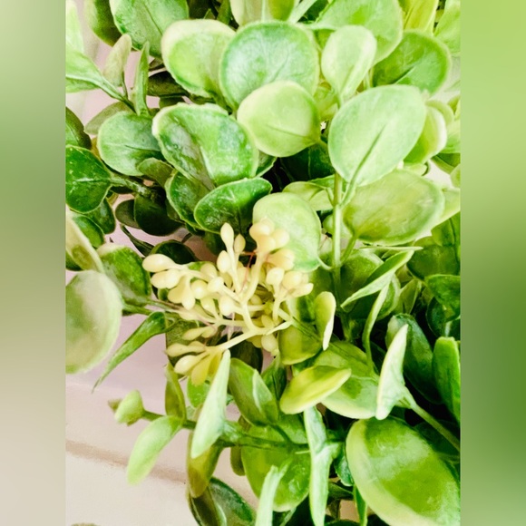 Seeded Baby Eucalyptus Twig Wreath - Picture 4 of 12